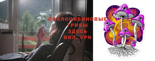 трава Карпинск