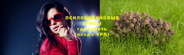 трава Карпинск