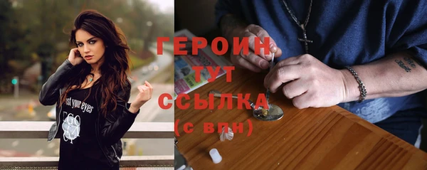 индика Кинешма