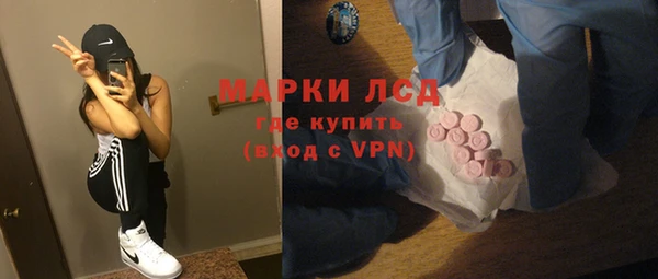 индика Кинешма