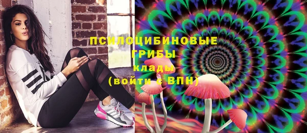 трава Карпинск