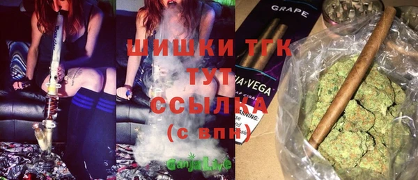 трава Карпинск